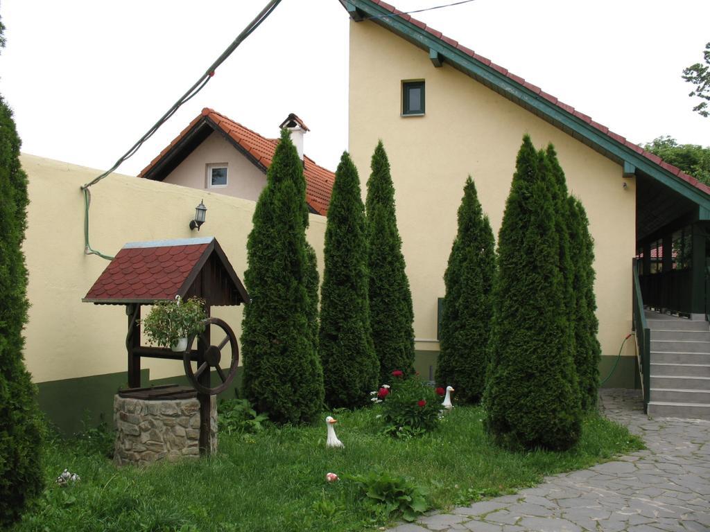 Pensiunea Sub Cetate Cisnadie Exterior photo